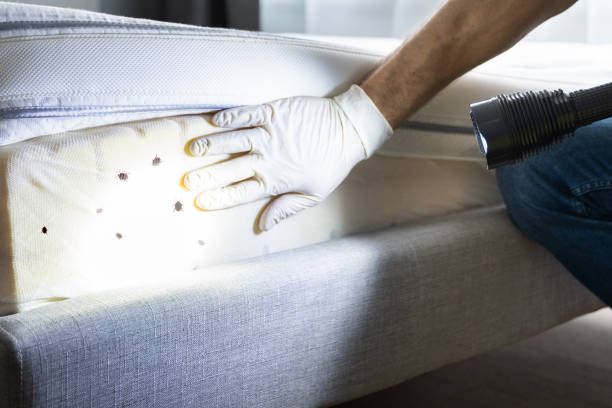 Professional Pest Control in Bristol, IN